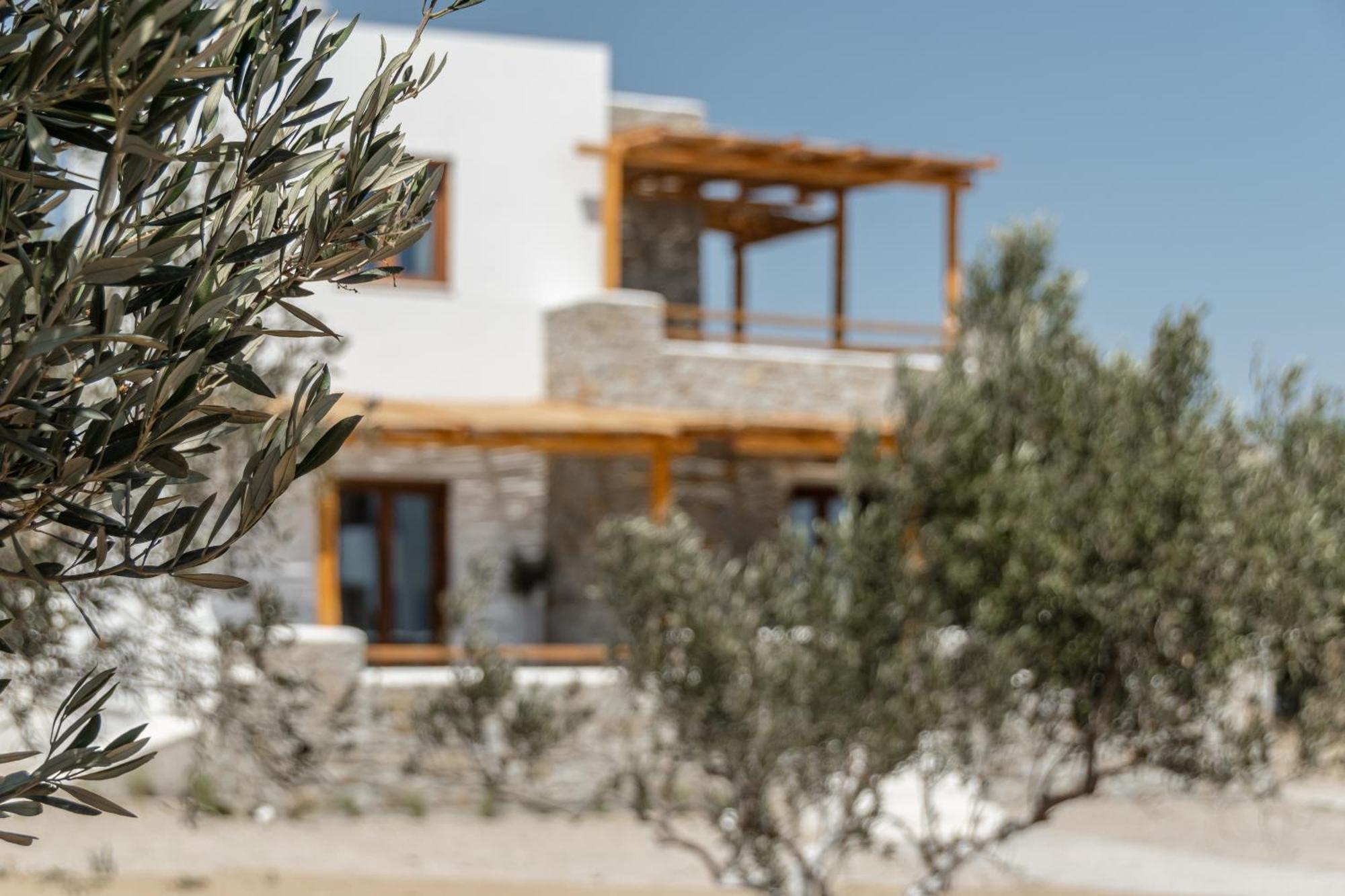 Naxos Beachwalk Villa Plaka Maragkas 外观 照片